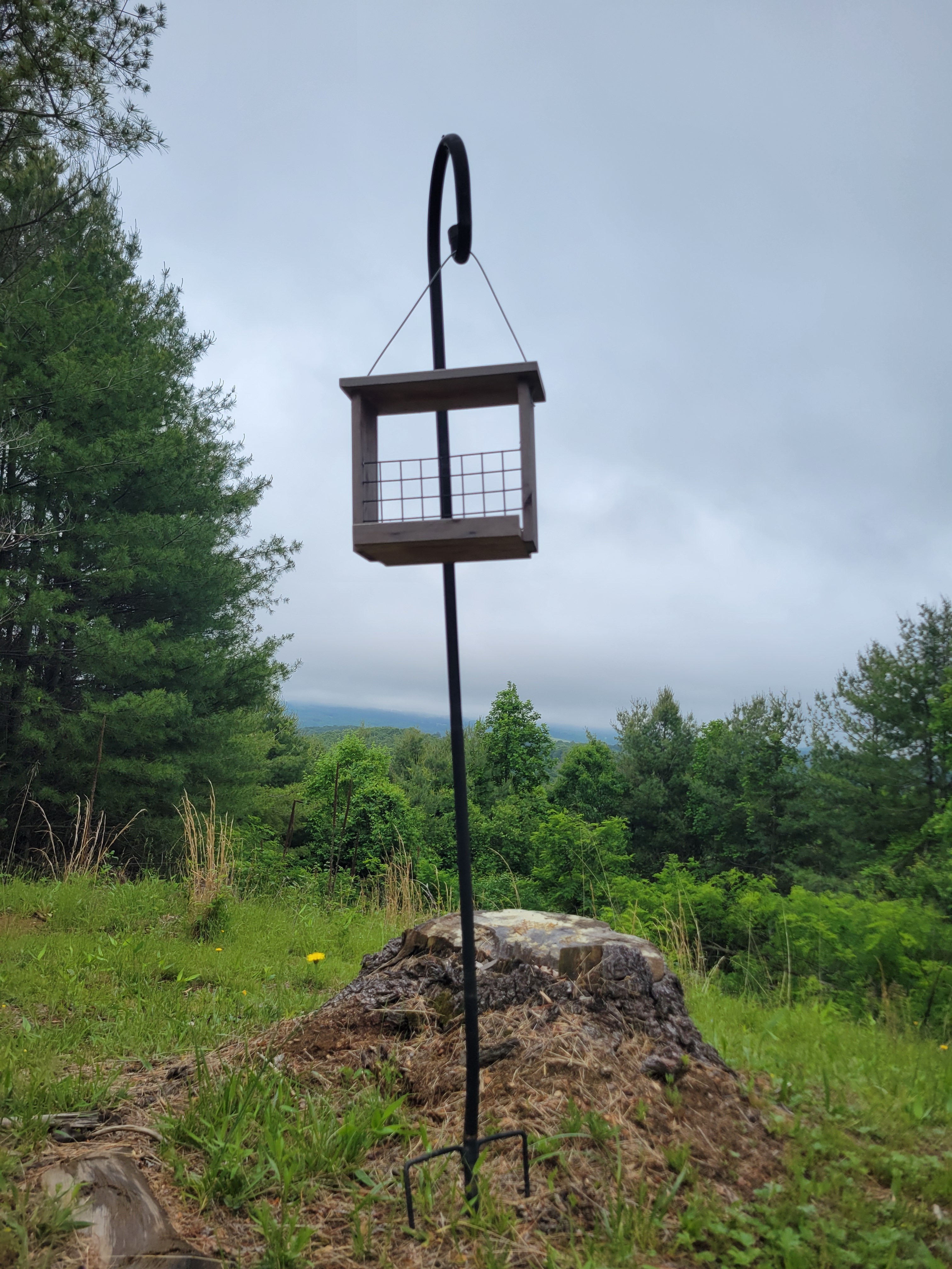 Bird feeder at Goodwins Peak Sparta NC